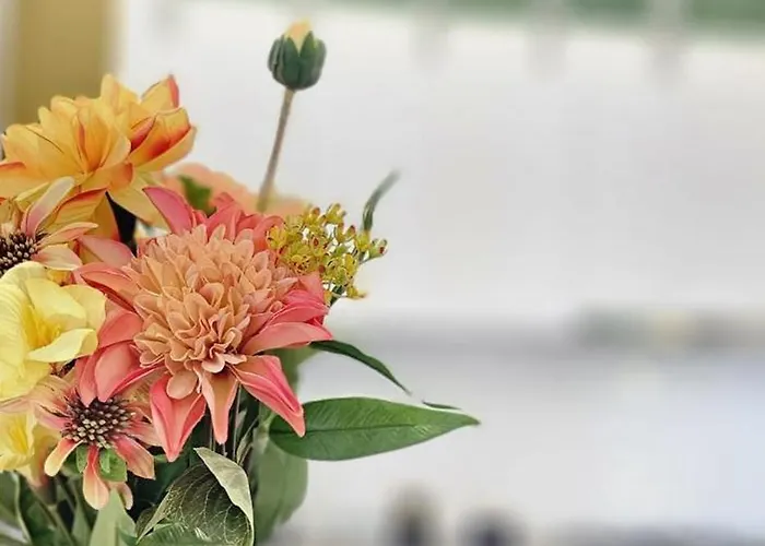 Apartament Sweet Dreams Piata Romana Bucureşti